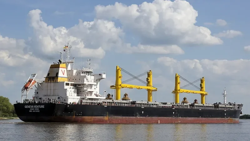 COMMON HORIZON Bulk Carrier IMO 9693202 photo 6