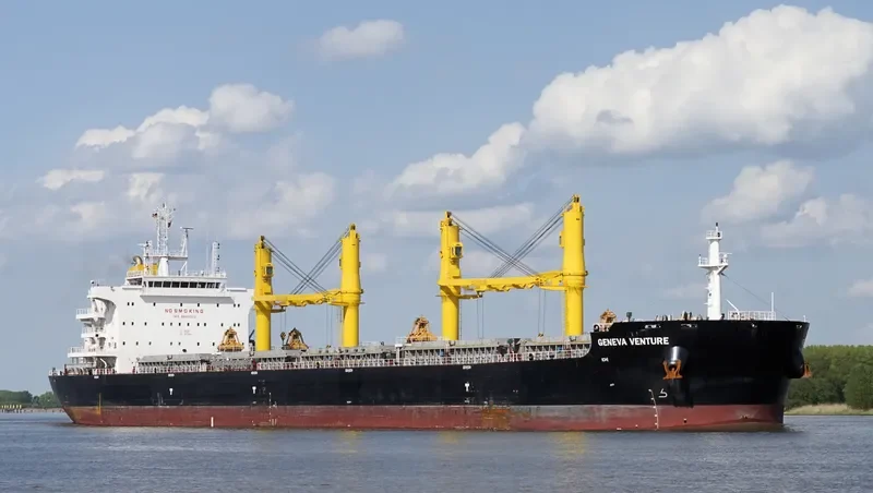 COMMON HORIZON Bulk Carrier IMO 9693202 photo 7