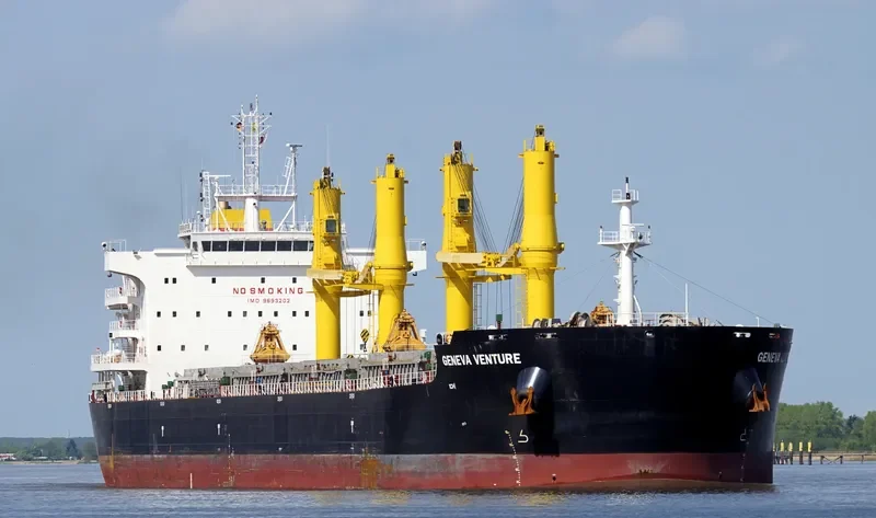 COMMON HORIZON Bulk Carrier IMO 9693202 photo 8