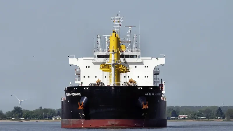 COMMON HORIZON Bulk Carrier IMO 9693202 photo 9