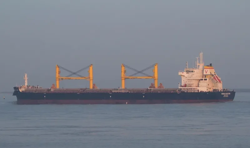 COMMON HORIZON Bulk Carrier IMO 9693202 photo 10