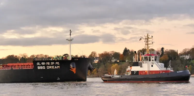 BUGSIER 7 General Cargo IMO 9693252