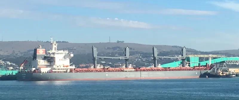 RICARDA Bulk Carrier IMO 9693329 photo 2
