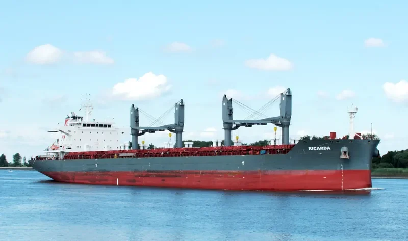 RICARDA Bulk Carrier IMO 9693329 photo 3