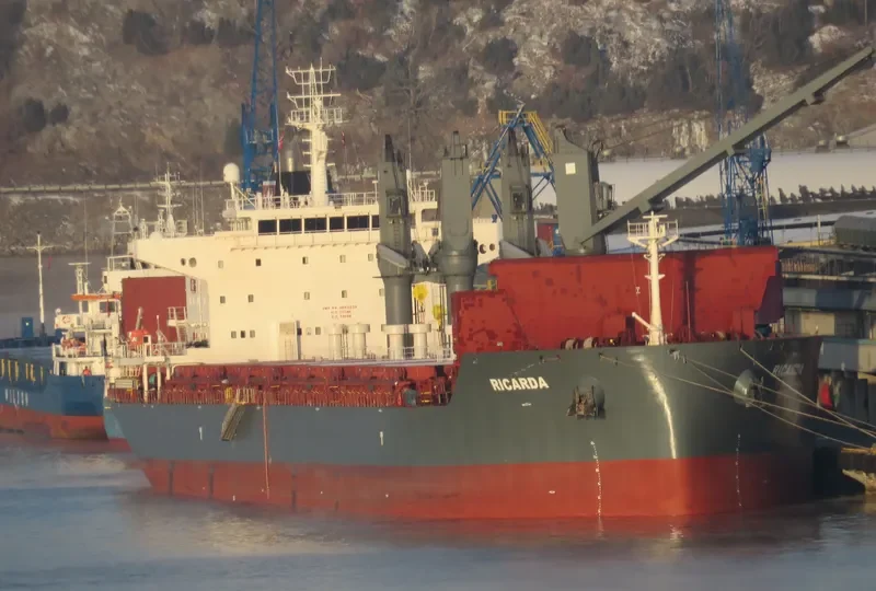 RICARDA Bulk Carrier IMO 9693329 photo 4