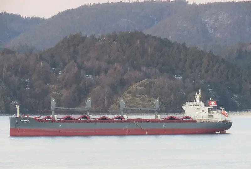 RICARDA Bulk Carrier IMO 9693329 photo 5