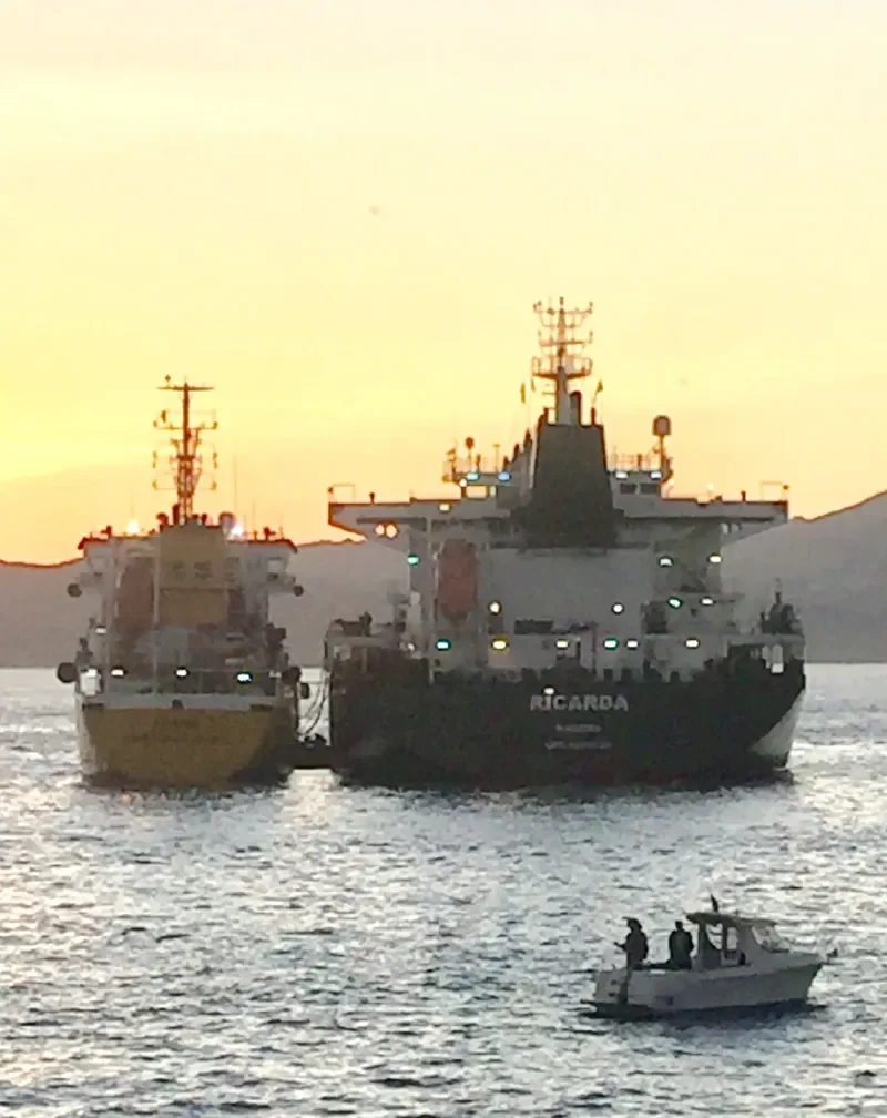 RICARDA Bulk Carrier IMO 9693329 photo 6