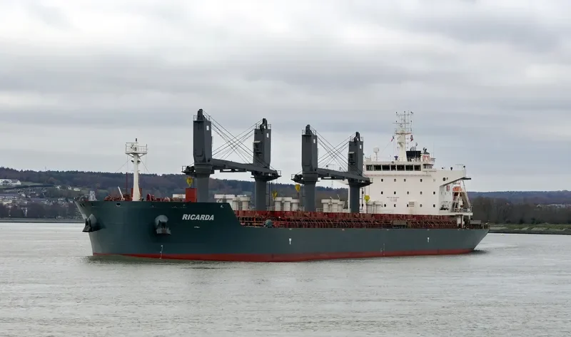 RICARDA Bulk Carrier IMO 9693329 photo 7