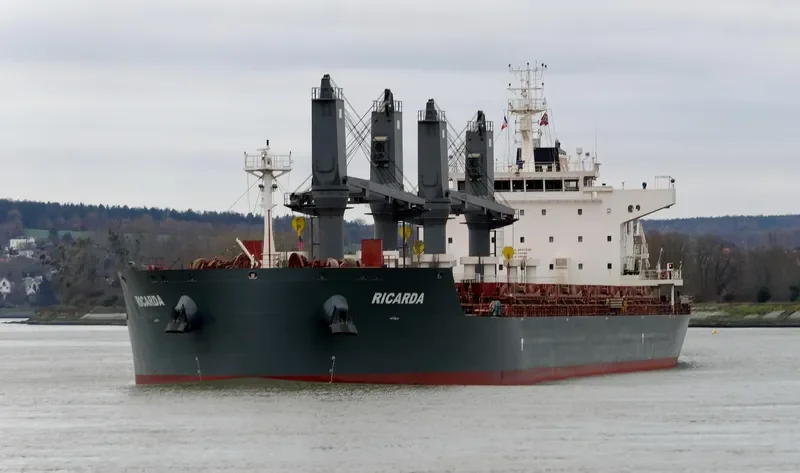 RICARDA Bulk Carrier IMO 9693329 photo 8