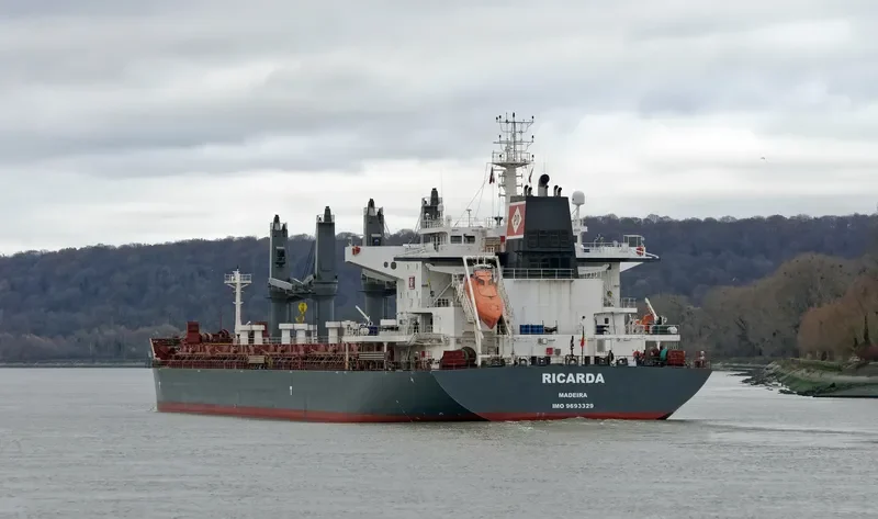 RICARDA Bulk Carrier IMO 9693329 photo 9