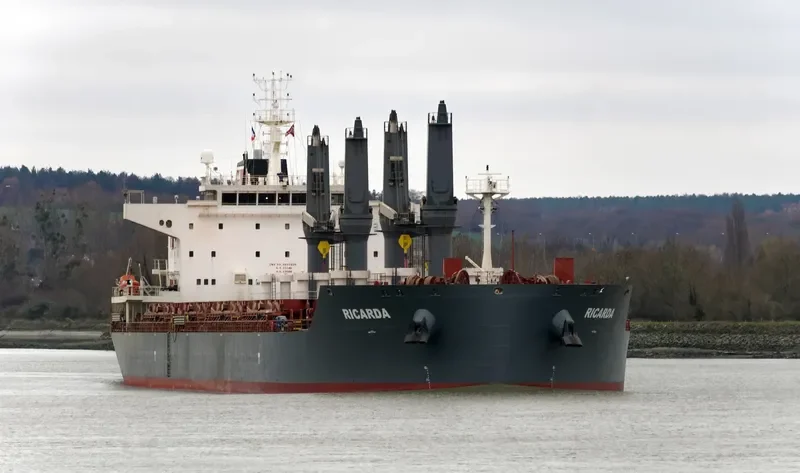 RICARDA Bulk Carrier IMO 9693329 photo 10