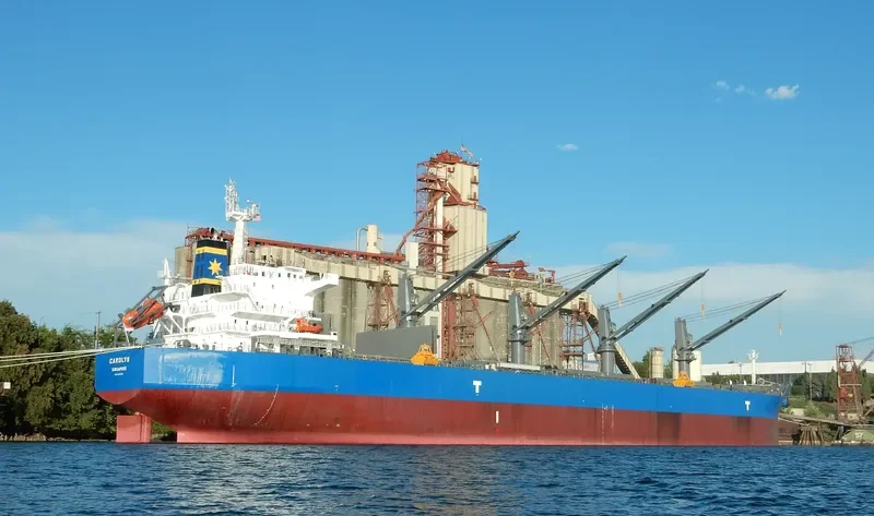 CAROLYN Bulk Carrier IMO 9693355 photo 3