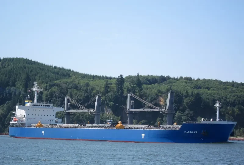 CAROLYN Bulk Carrier IMO 9693355 photo 5