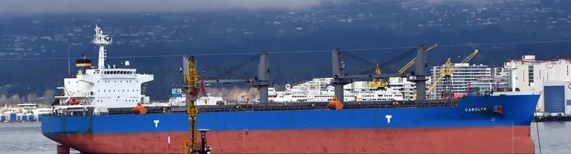 CAROLYN Bulk Carrier IMO 9693355 photo 6