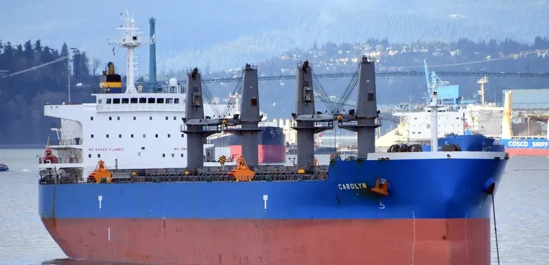 CAROLYN Bulk Carrier IMO 9693355 photo 7