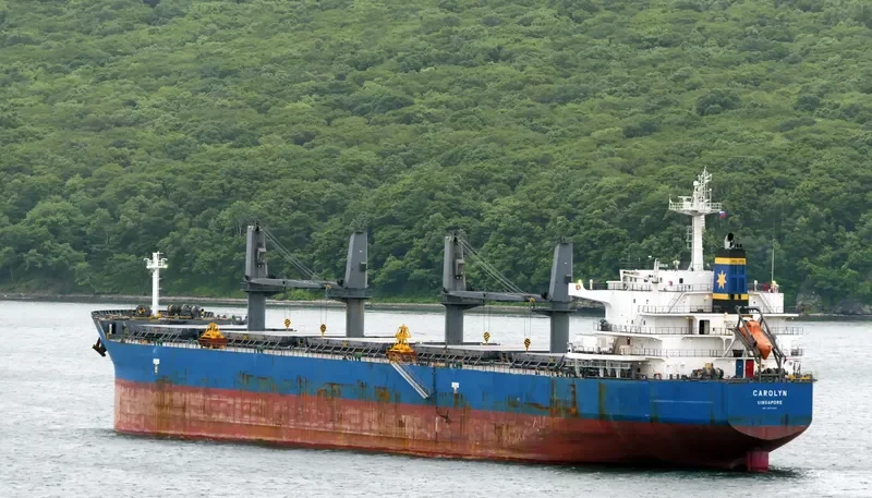 CAROLYN Bulk Carrier IMO 9693355 photo 9