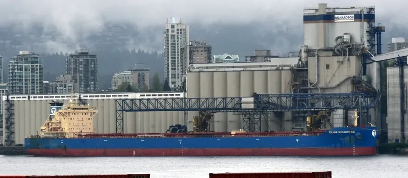 ACRA Bulk Carrier IMO 9693410 photo 3