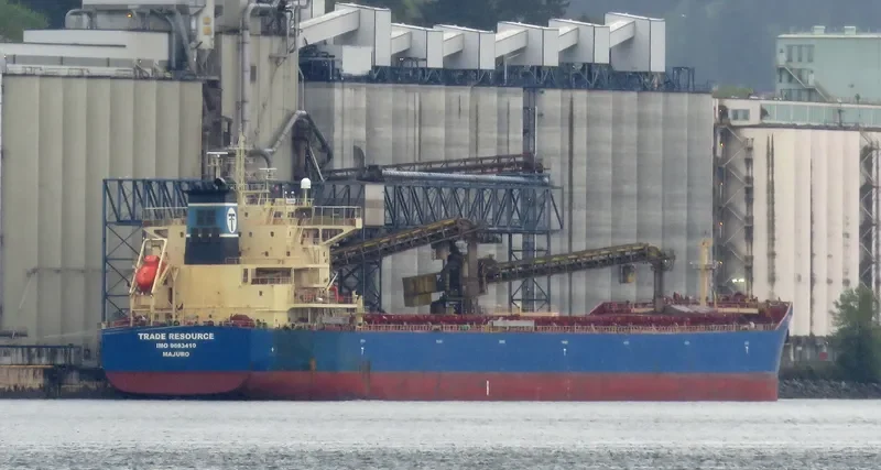ACRA Bulk Carrier IMO 9693410 photo 4