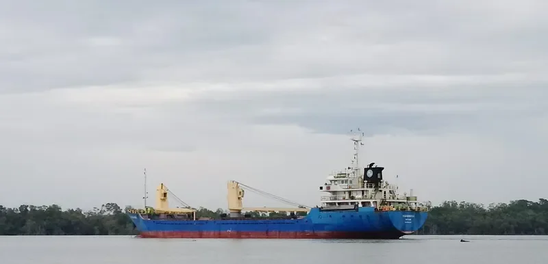 HOA BINH 54 General Cargo IMO 9693434 photo 2