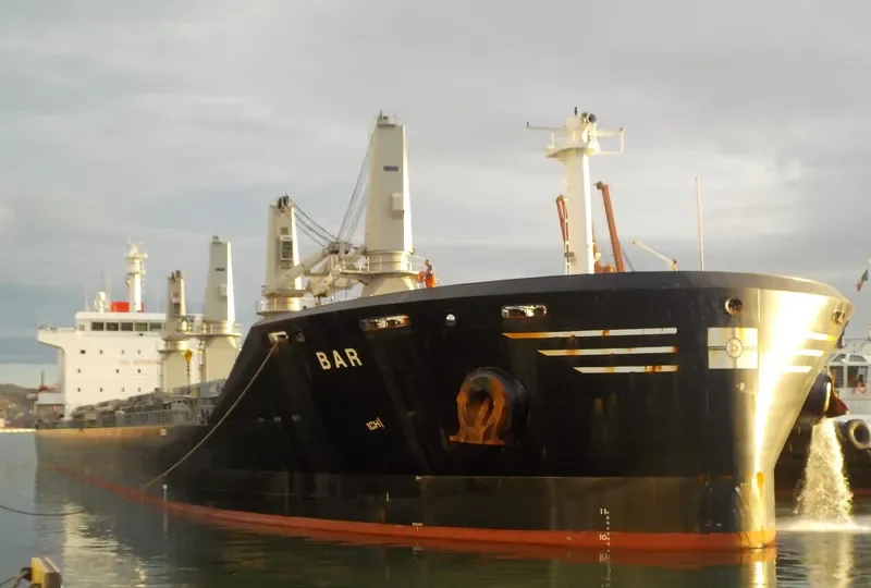 BAR Bulk Carrier IMO 9693496 photo 2