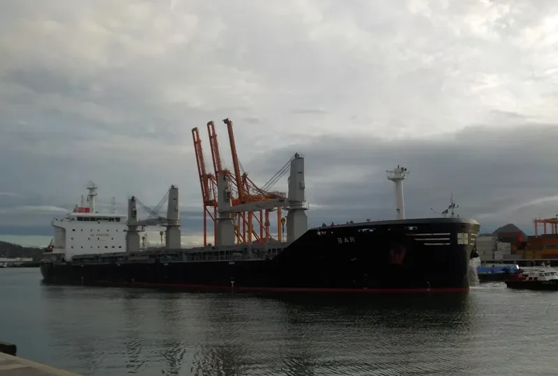BAR Bulk Carrier IMO 9693496 photo 3