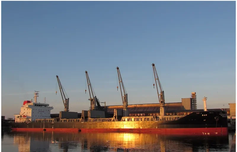 BAR Bulk Carrier IMO 9693496 photo 5