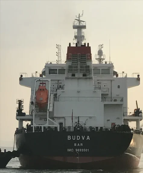 BUDVA Bulk Carrier IMO 9693501