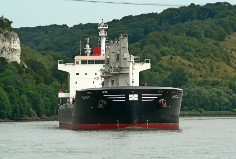 BUDVA Bulk Carrier IMO 9693501 photo 2
