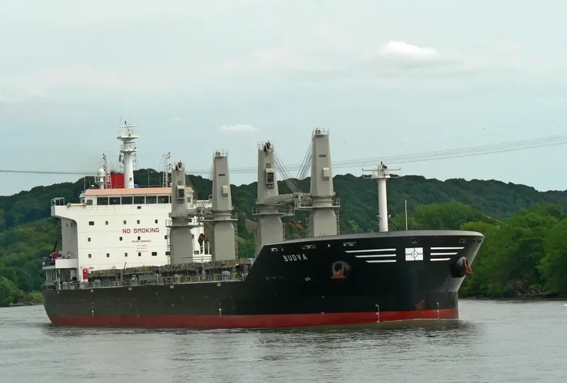BUDVA Bulk Carrier IMO 9693501 photo 3