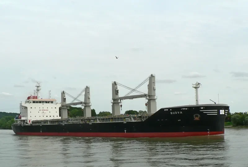 BUDVA Bulk Carrier IMO 9693501 photo 4
