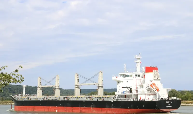 BUDVA Bulk Carrier IMO 9693501 photo 6