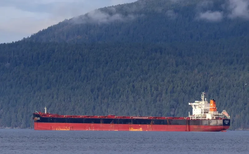 HL HARMONY Bulk Carrier IMO 9693551
