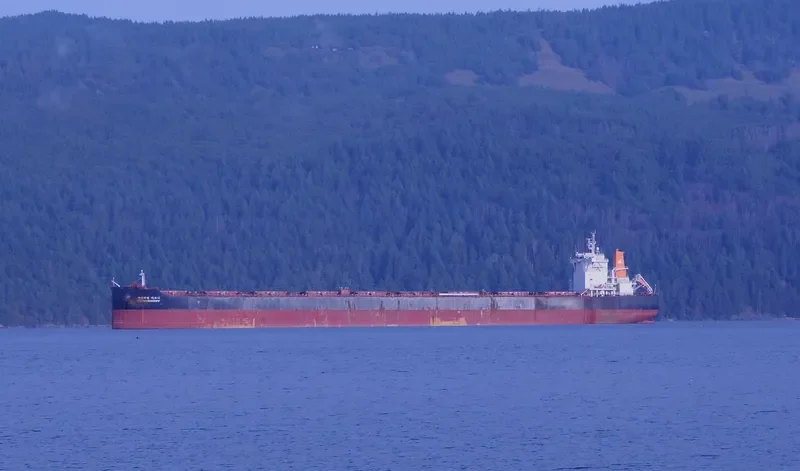 HL HARMONY Bulk Carrier IMO 9693551 photo 2