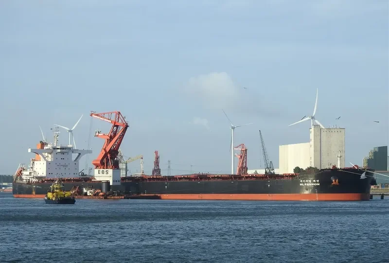 HL PASSION Bulk Carrier IMO 9693563