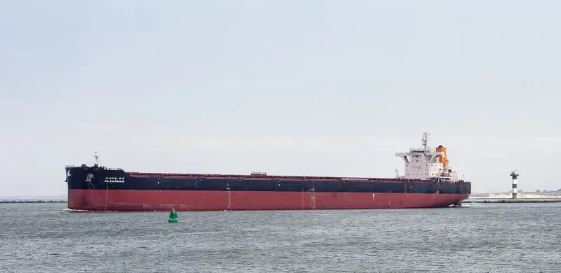 HL PASSION Bulk Carrier IMO 9693563 photo 3