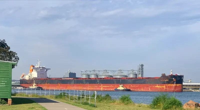 HL PASSION Bulk Carrier IMO 9693563 photo 4