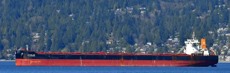 HL PASSION Bulk Carrier IMO 9693563 photo 6