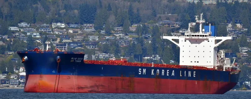 HL PASSION Bulk Carrier IMO 9693563 photo 8