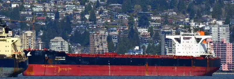 HL PASSION Bulk Carrier IMO 9693563 photo 9