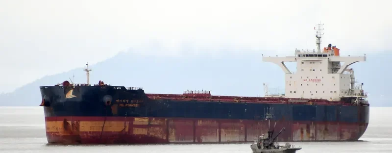 HL PIONEER Bulk Carrier IMO 9693575