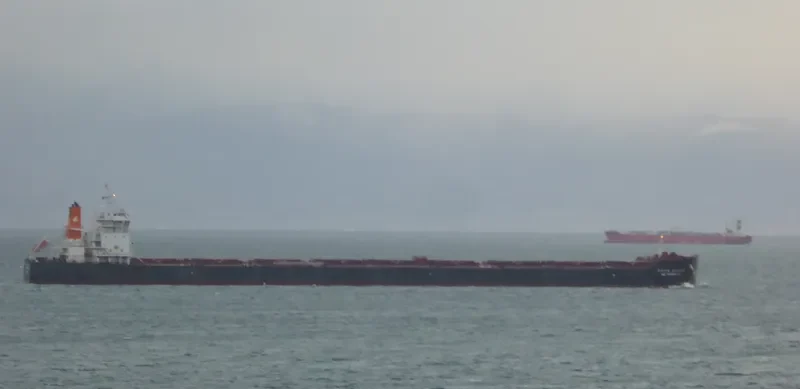 HL PIONEER Bulk Carrier IMO 9693575 photo 2