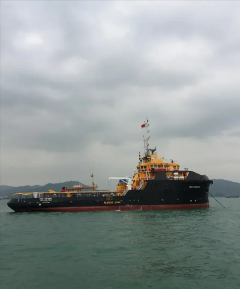DON SAVERIO Offshore Vessel IMO 9693628