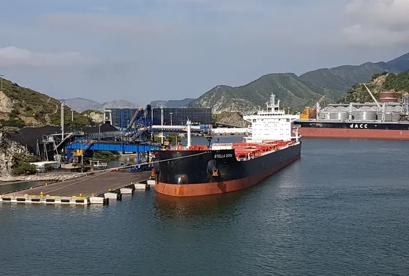 STELLA DORA Bulk Carrier IMO 9693769
