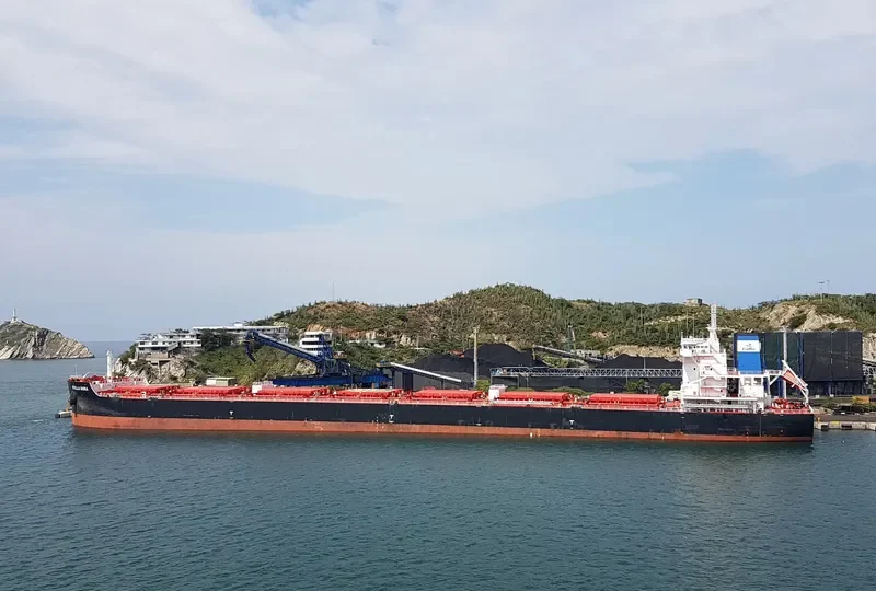 STELLA DORA Bulk Carrier IMO 9693769 photo 2