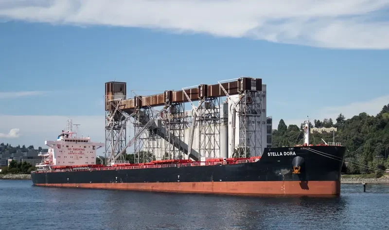 STELLA DORA Bulk Carrier IMO 9693769 photo 3