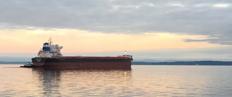 STELLA DORA Bulk Carrier IMO 9693769 photo 4