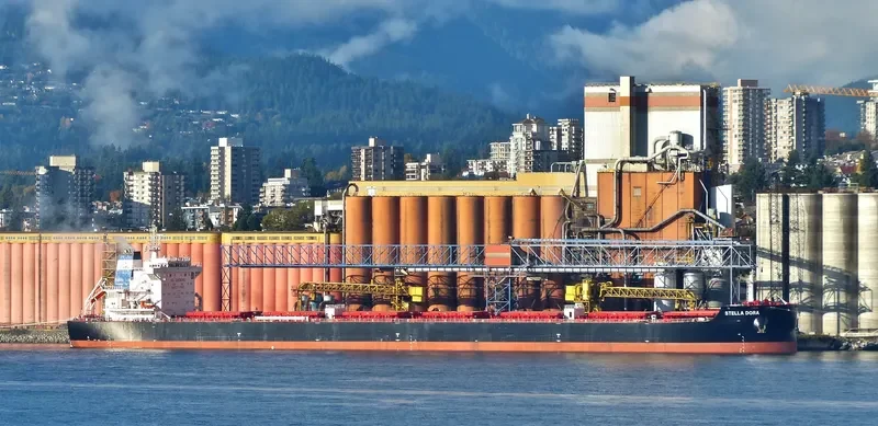 STELLA DORA Bulk Carrier IMO 9693769 photo 5