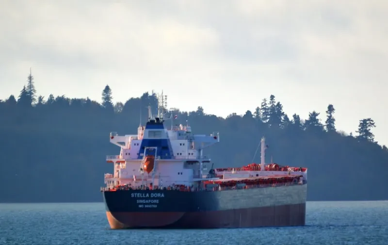 STELLA DORA Bulk Carrier IMO 9693769 photo 6