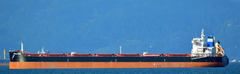 STELLA DORA Bulk Carrier IMO 9693769 photo 7