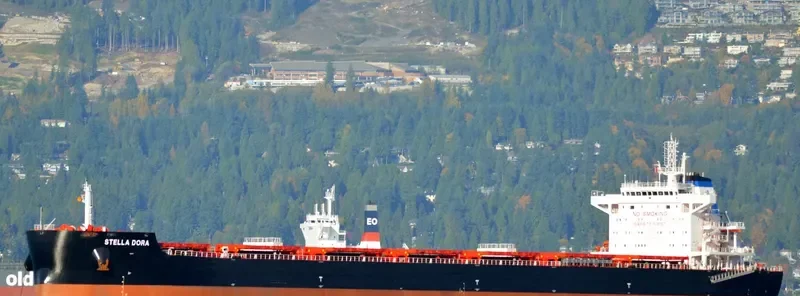 STELLA DORA Bulk Carrier IMO 9693769 photo 8